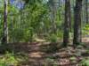 pxl_20250517_153609498_small.jpg