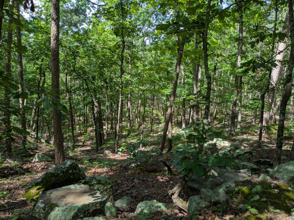 pxl_20250517_153646350.jpg