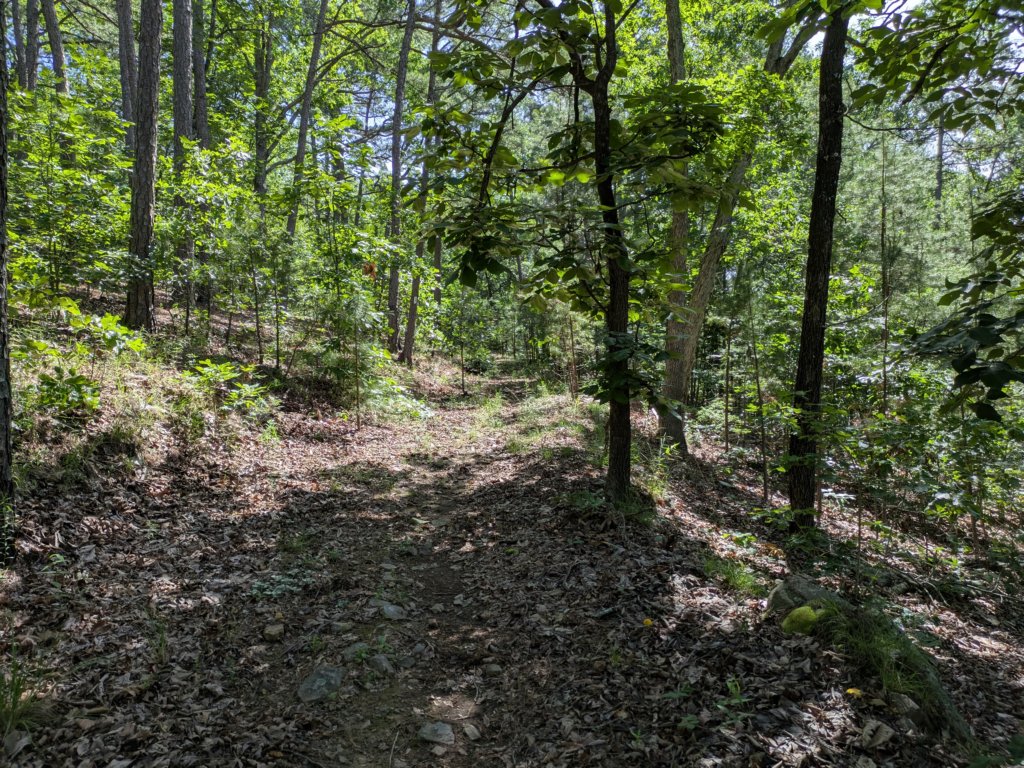 pxl_20250517_154123352.jpg