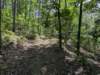 pxl_20250517_154123352_small.jpg