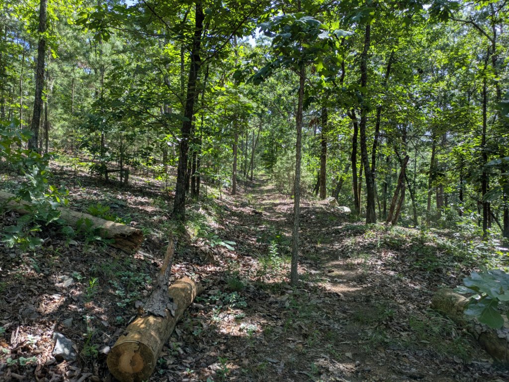 pxl_20250517_154233146.jpg
