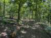 pxl_20250517_154233146_small.jpg