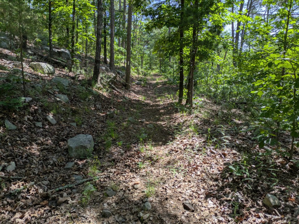 pxl_20250517_154323843.jpg