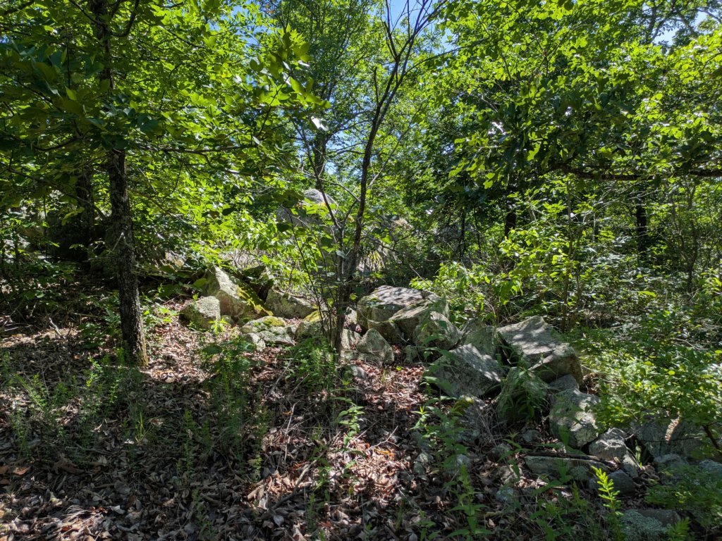 pxl_20250517_154525308.jpg