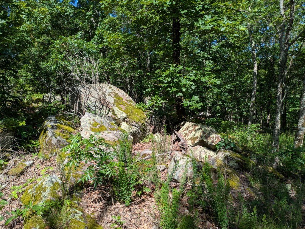 pxl_20250517_154540178.jpg