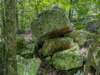 pxl_20250517_154603217_small.jpg