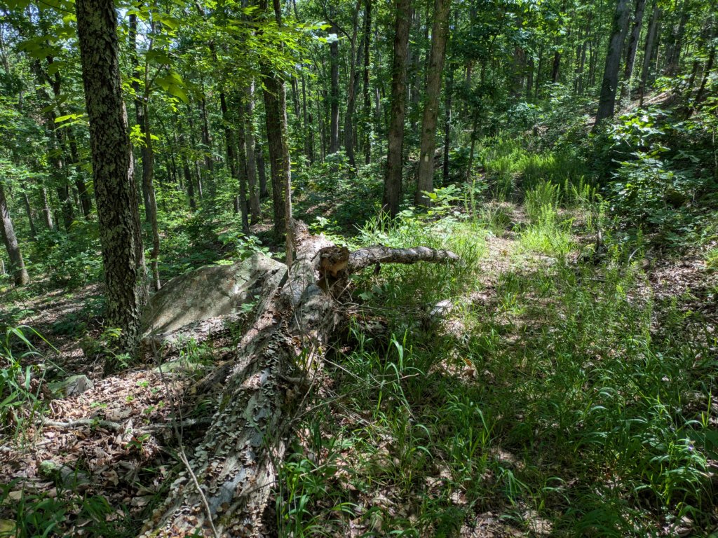 pxl_20250517_154840665.jpg