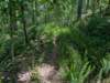 pxl_20250517_154858965_small.jpg