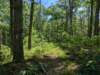 pxl_20250517_155348943_small.jpg