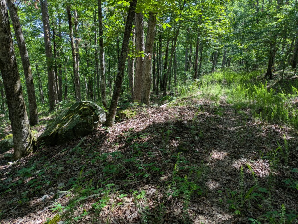 pxl_20250517_155724683.jpg