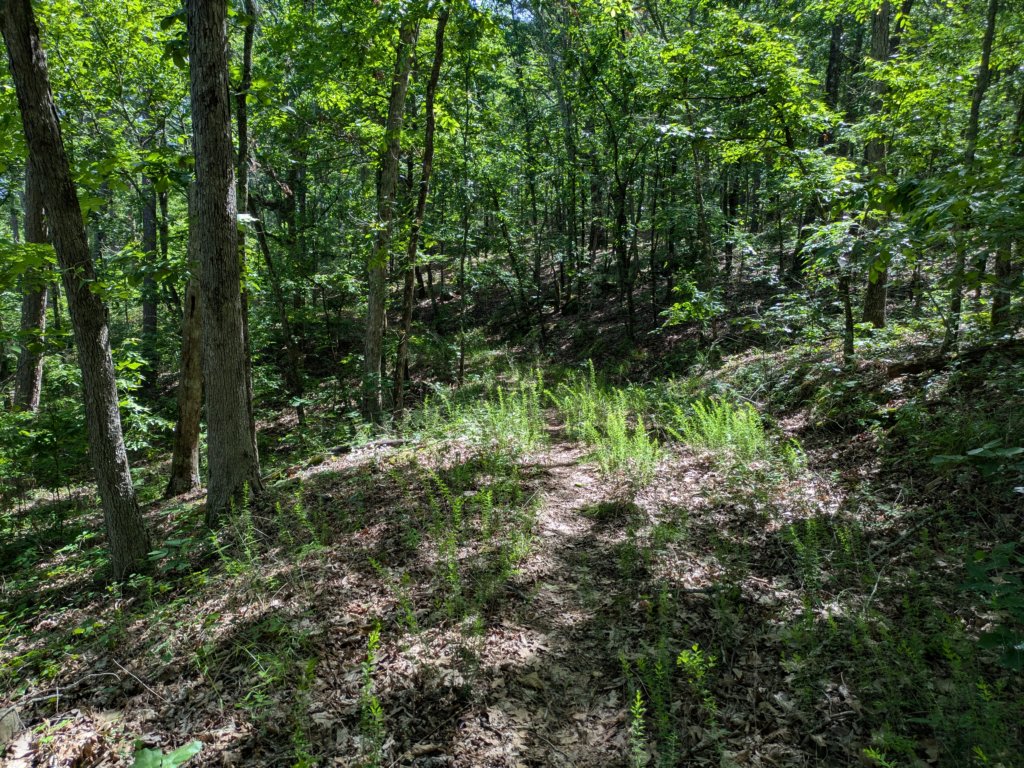 pxl_20250517_155902831.jpg