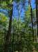 pxl_20250517_155944467_small.jpg