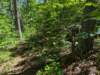 pxl_20250517_160024123_small.jpg