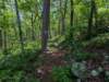 pxl_20250517_160137290_small.jpg