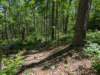 pxl_20250517_160358730_small.jpg