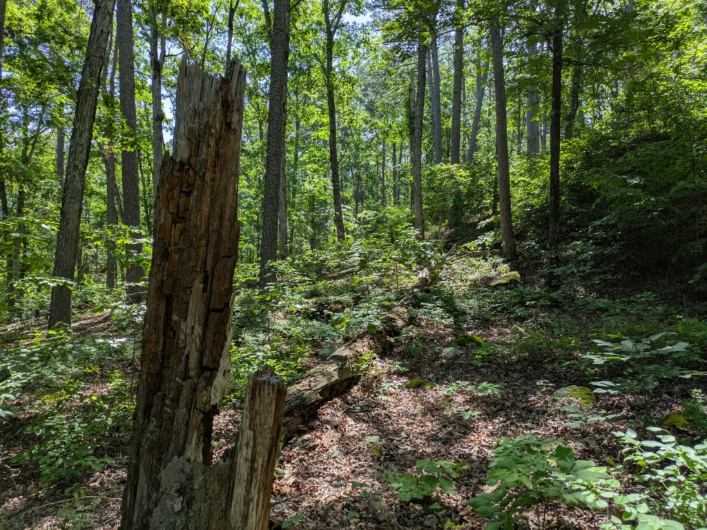 pxl_20250517_160513806.jpg