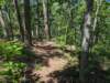 pxl_20250517_160931360_small.jpg