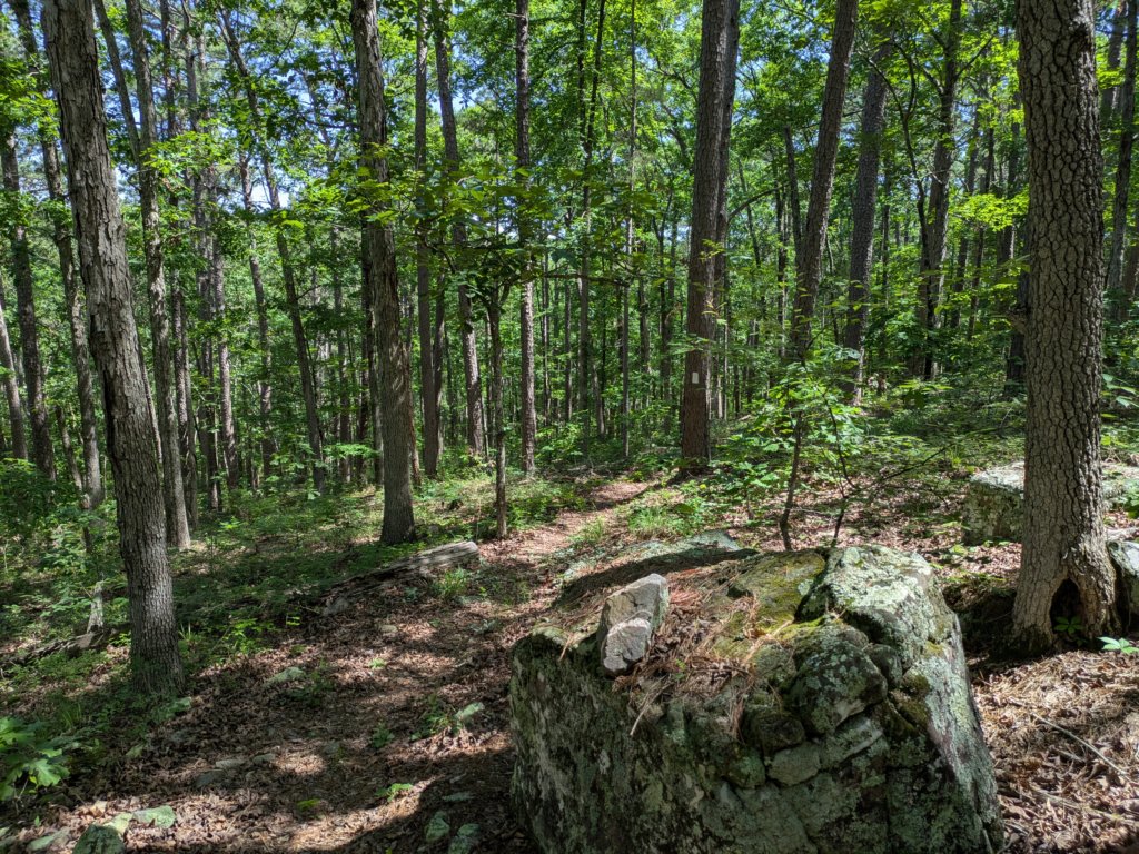 pxl_20250517_160956062.jpg