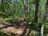pxl_20250517_161122381_small.jpg
