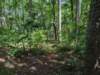 pxl_20250517_161425277_small.jpg