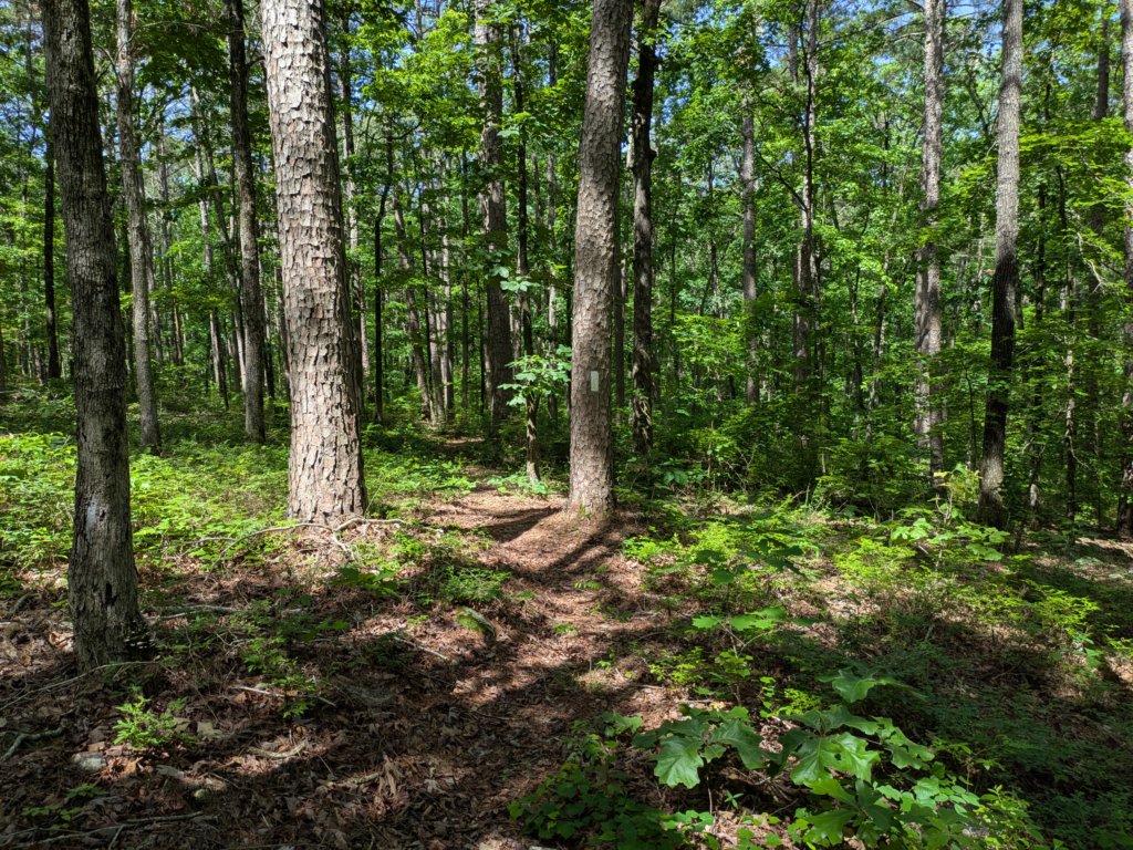 pxl_20250517_161533425.jpg