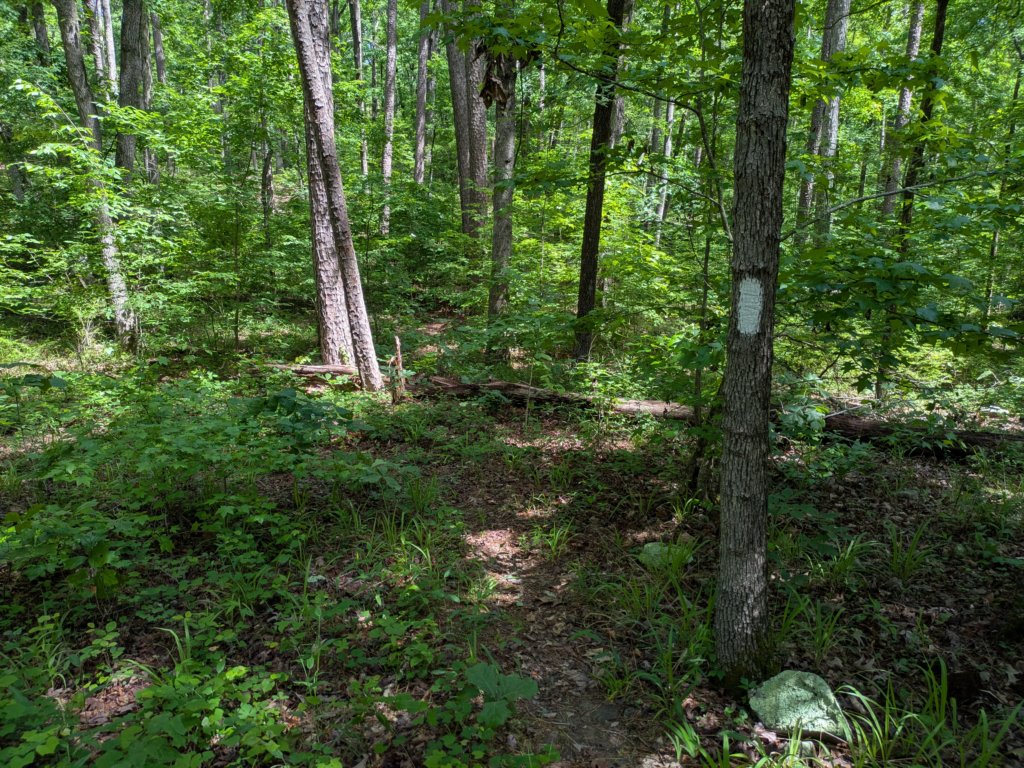 pxl_20250517_161759426.jpg