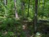pxl_20250517_161759426_small.jpg