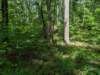 pxl_20250517_161806836_small.jpg