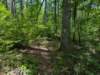 pxl_20250517_161849721_small.jpg