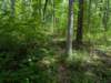 pxl_20250517_161908602_small.jpg
