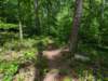 pxl_20250517_161931864_small.jpg