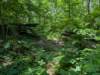 pxl_20250517_161955037_small.jpg