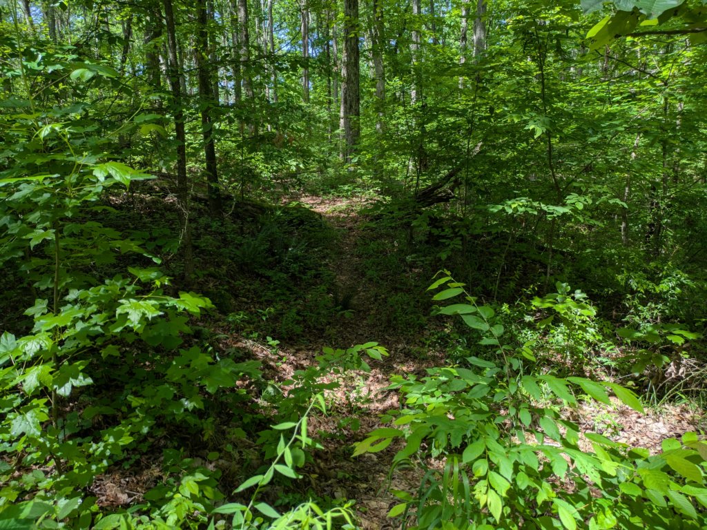 pxl_20250517_162027546.jpg