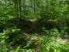 pxl_20250517_162027546_small.jpg