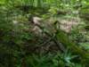 pxl_20250517_162038295_small.jpg