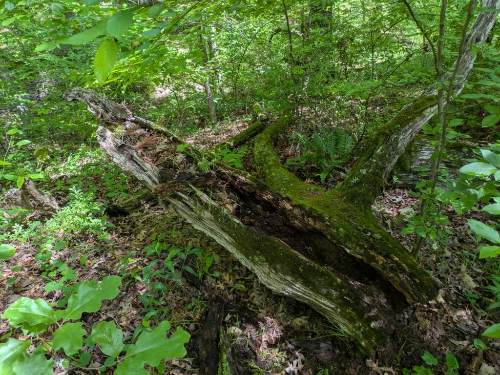 pxl_20250517_162046621.jpg