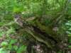 pxl_20250517_162046621_small.jpg