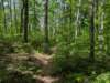 pxl_20250517_162054783_small.jpg