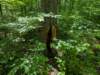 pxl_20250517_162307330mp_small.jpg