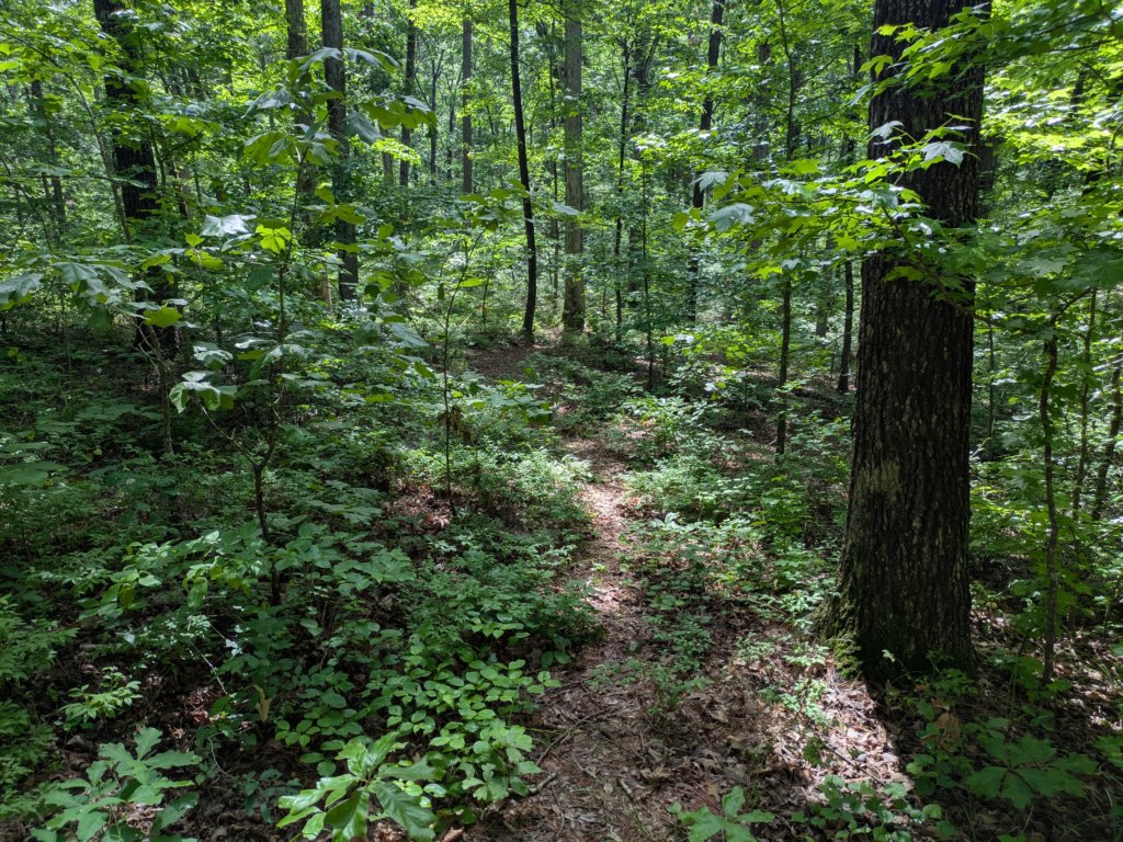 pxl_20250517_162313534.jpg
