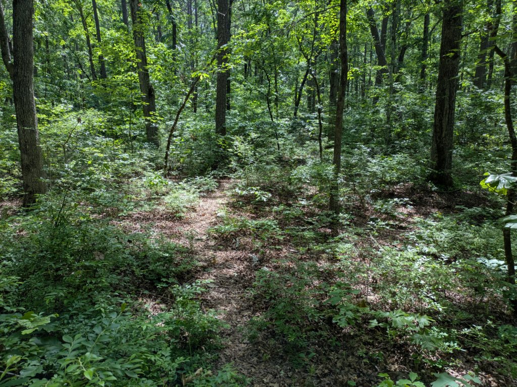 pxl_20250517_162335358.jpg