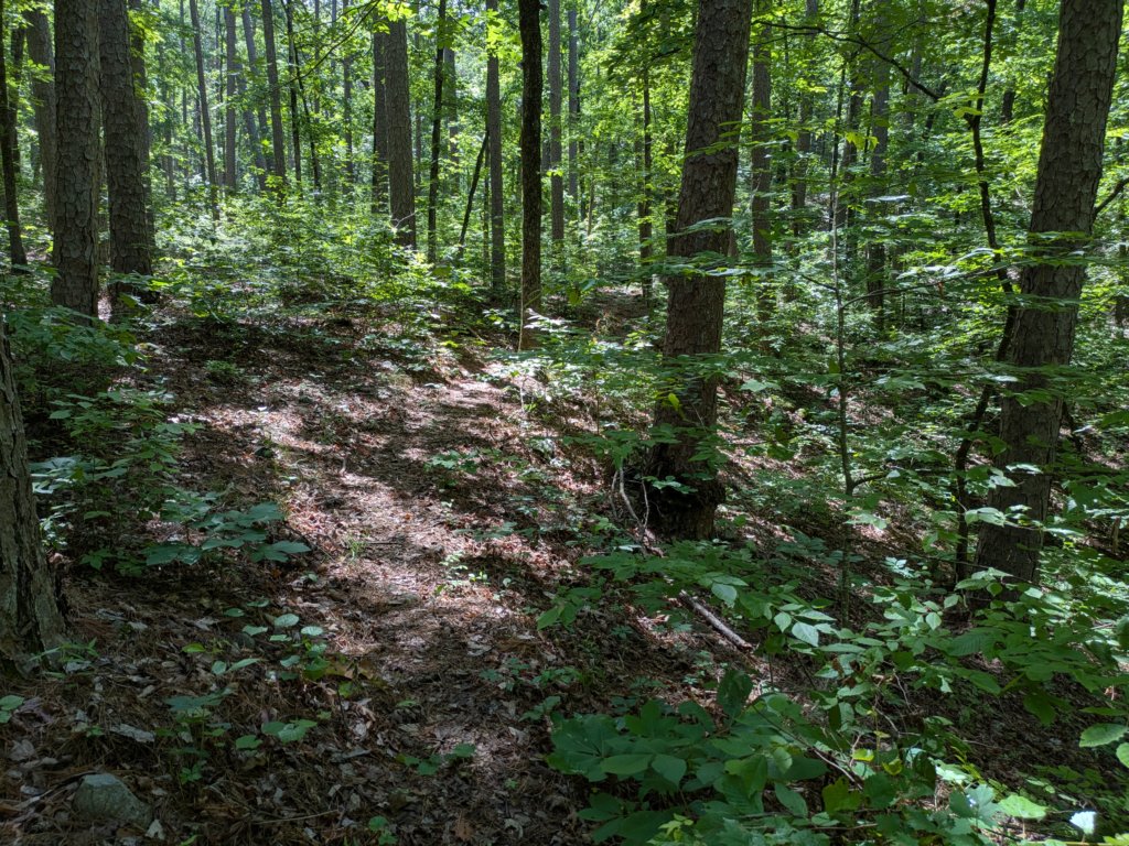 pxl_20250517_162647127.jpg