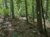 pxl_20250517_162727133_small.jpg
