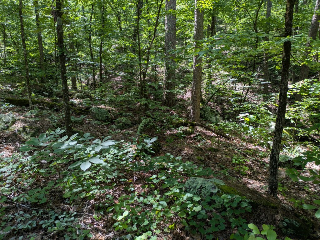 pxl_20250517_162822619.jpg