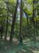 pxl_20250517_163152644_small.jpg