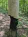 pxl_20250517_163204900_small.jpg