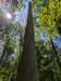 pxl_20250517_163209511_small.jpg