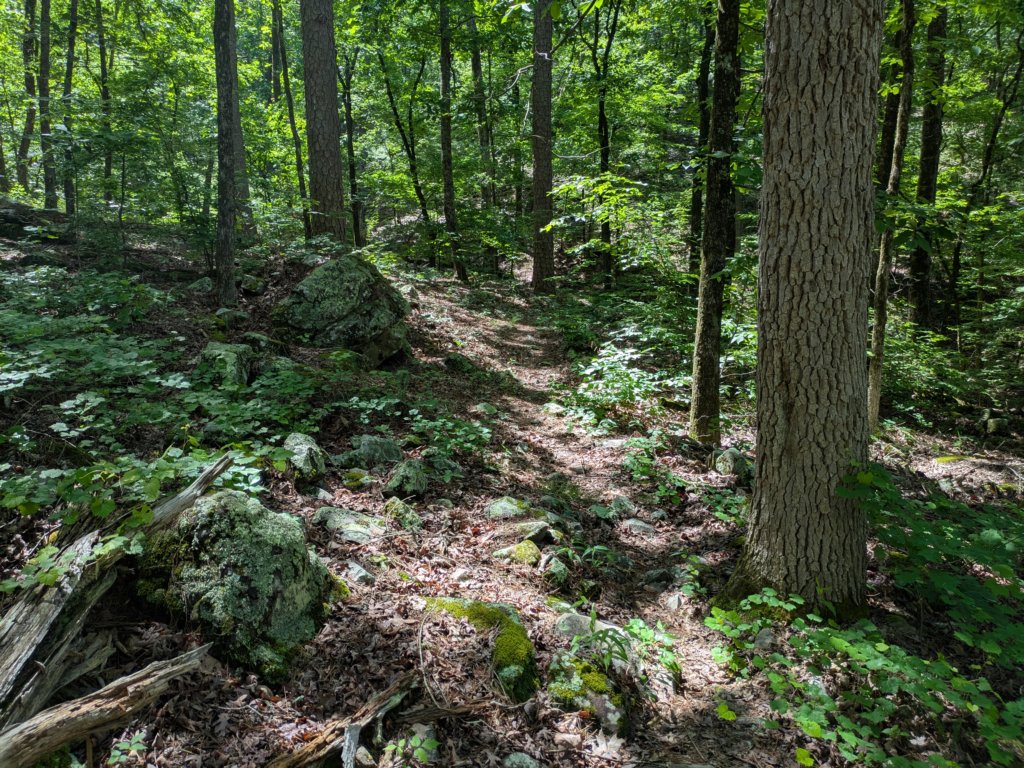 pxl_20250517_163222878.jpg