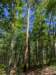 pxl_20250517_163239162_small.jpg