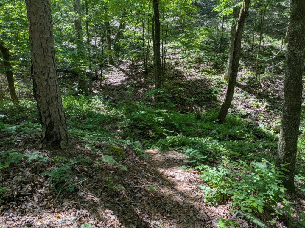 pxl_20250517_163255750.jpg